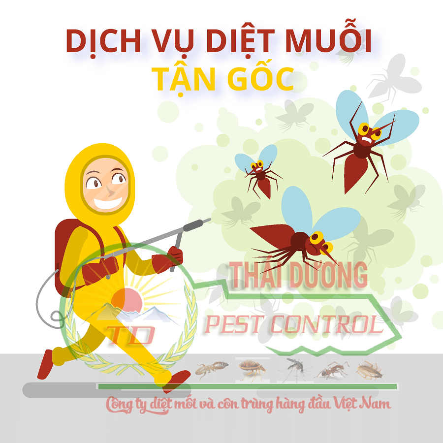 Dịch vụ diệt muỗi