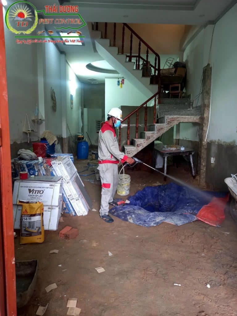 cách chống mối cho nhà mới xây