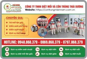 diệt mối tận gốc