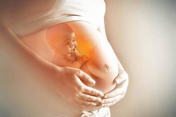 thuốc diệt mối có an toàn với thai nhi không